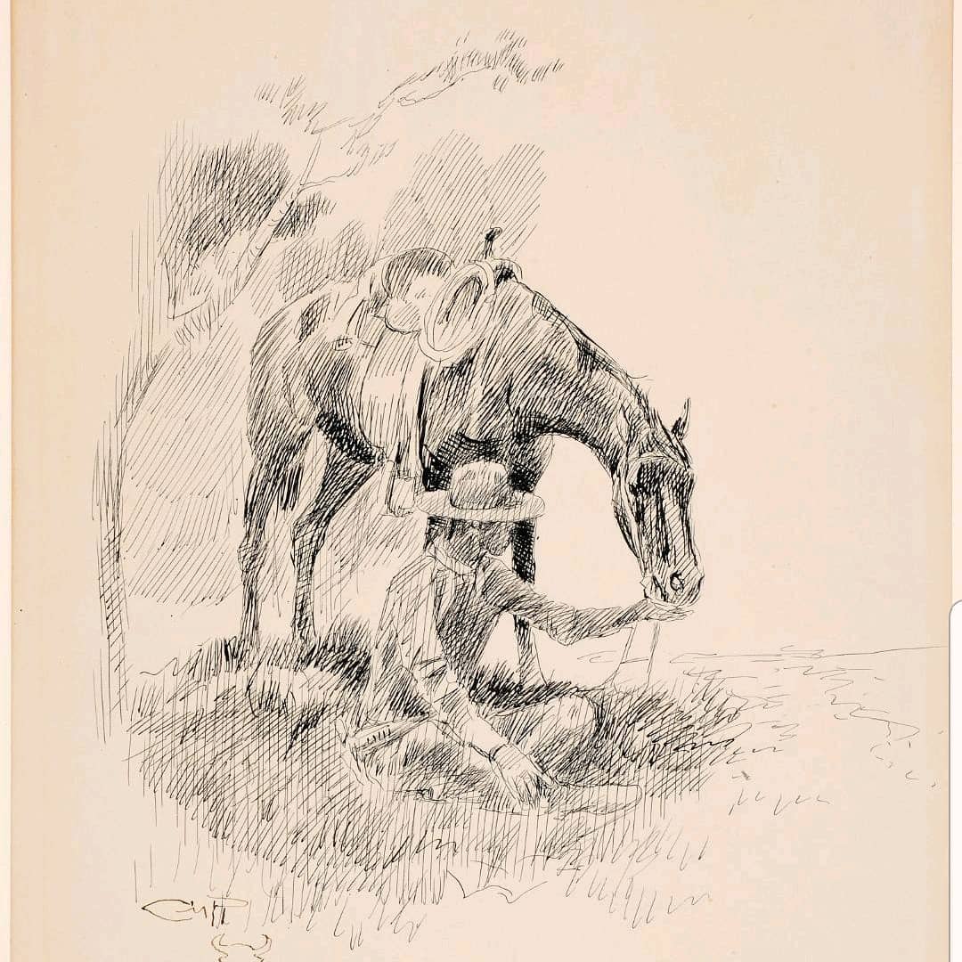aboybecomesacowboy